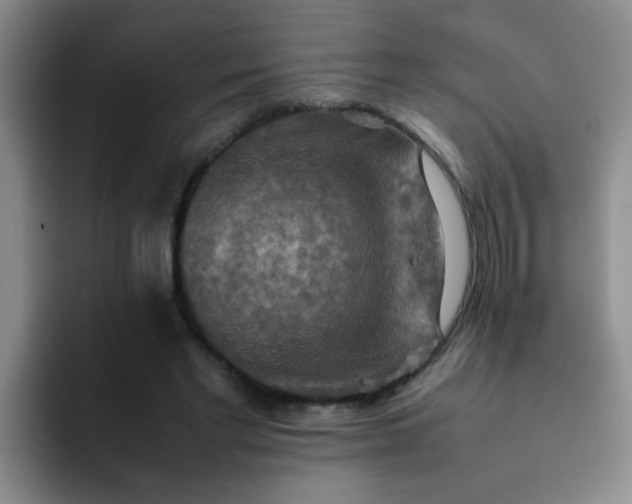 X0000092050493200709262012