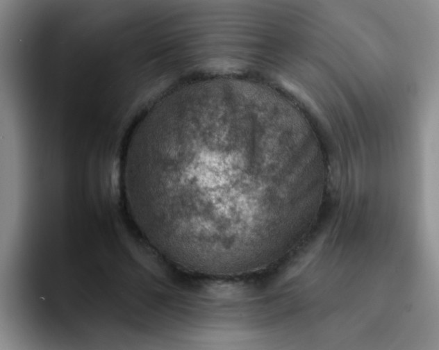 X0000092050494200709262012