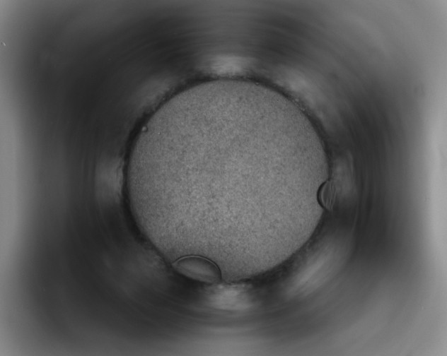 X0000092050495200709262012