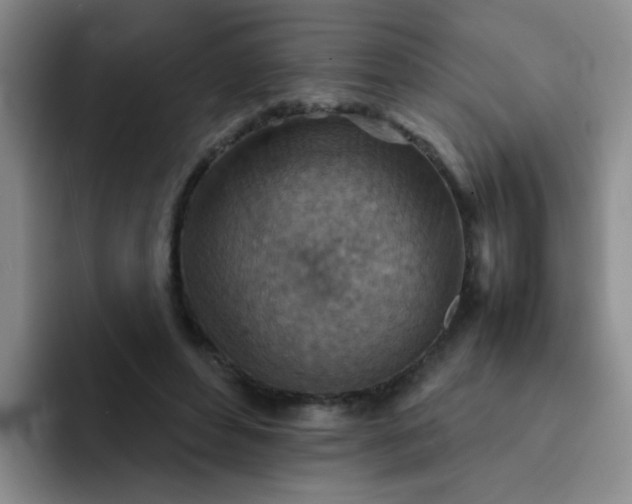 X0000092050496200709262012