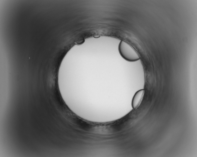 X0000092050499200709262012