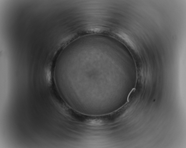 X0000092050500200709262012