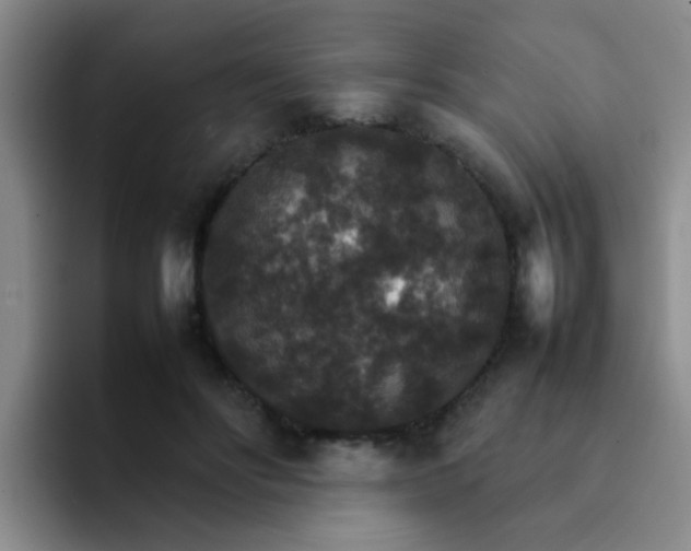 X0000092050502200709262012