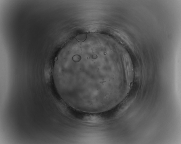 X0000092050503200709262012