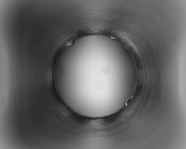 X0000092050505200709262012