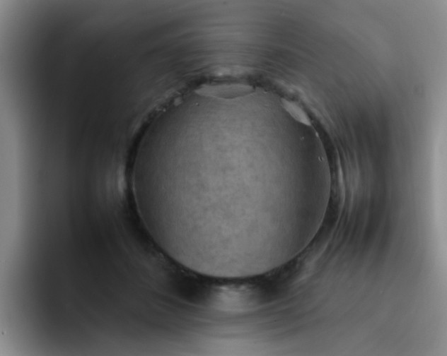 X0000092050508200709262012