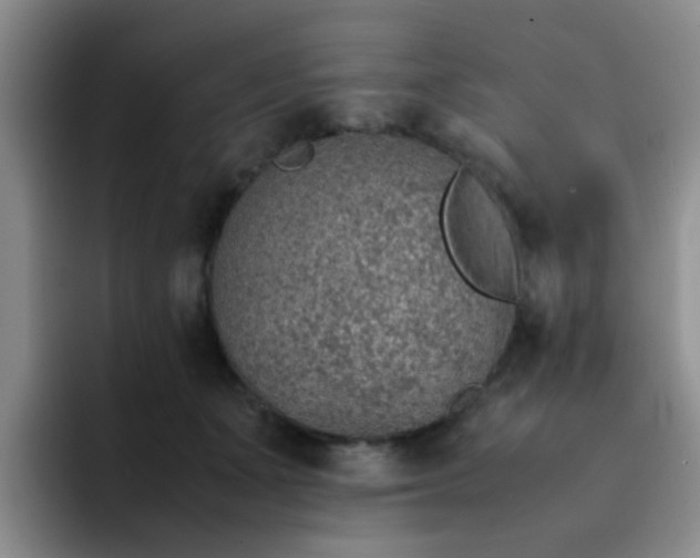 X0000092050511200709262012