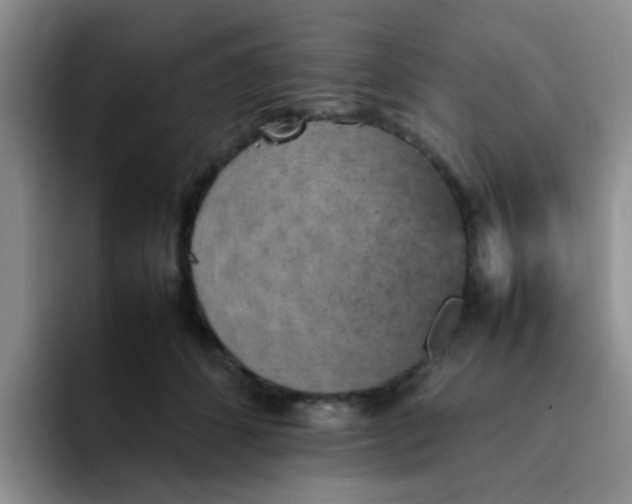 X0000092050512200709262012