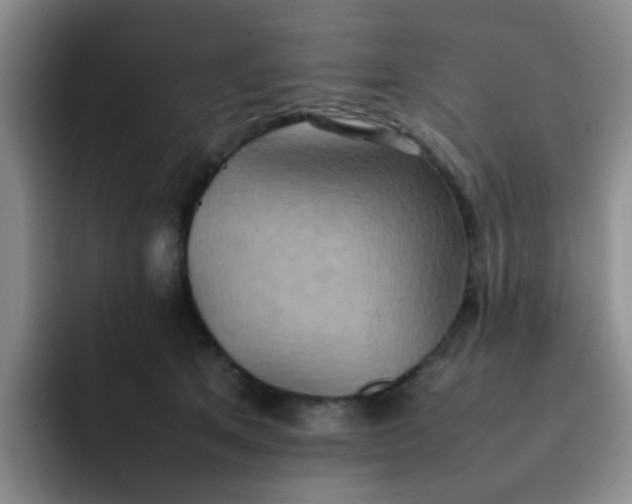 X0000092050513200709262012