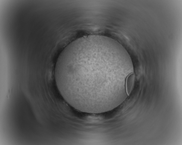 X0000092050515200709262012