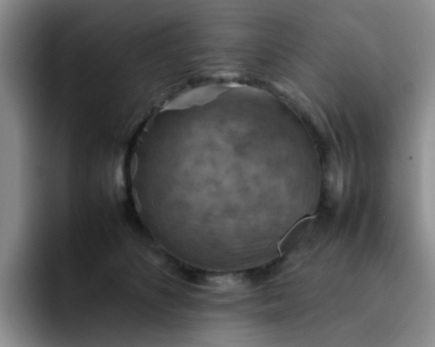 X0000092050516200709262012