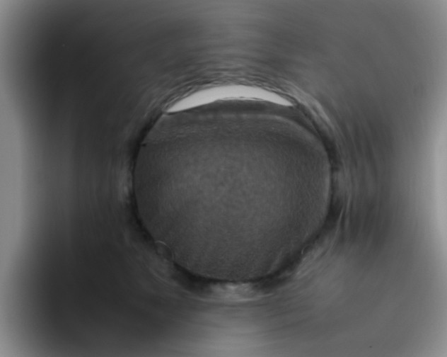 X0000092050517200709262012