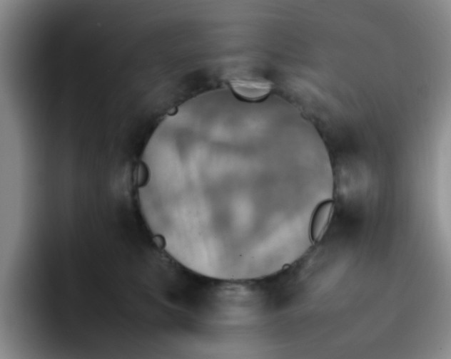 X0000092050519200709262012