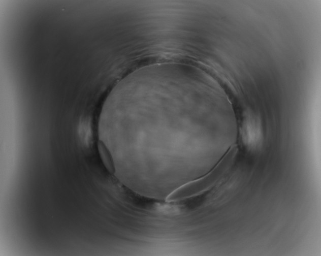 X0000092050520200709262012