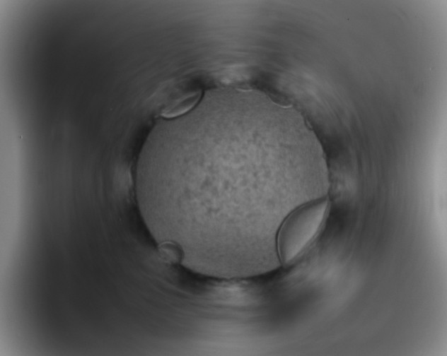 X0000092050523200709262012