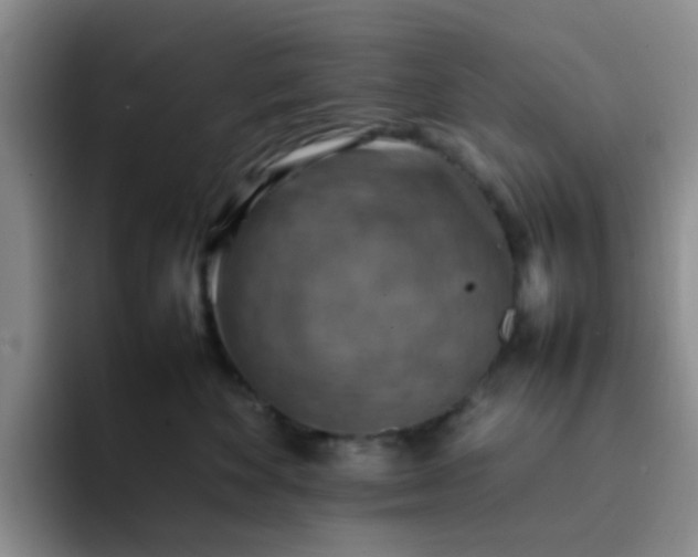 X0000092050524200709262012