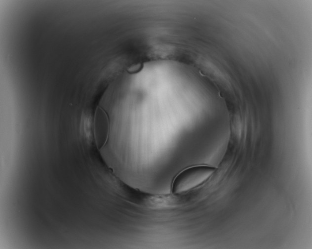 X0000092050526200709262012