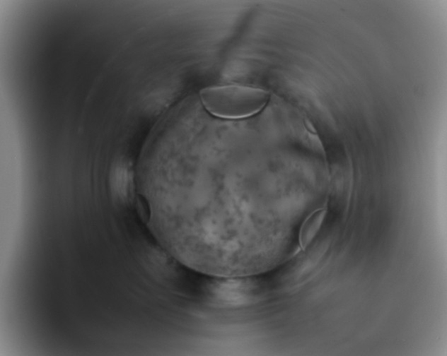 X0000092050527200709262012