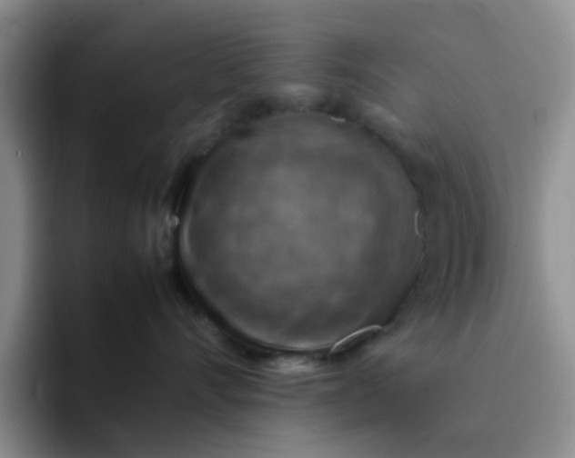 X0000092050528200709262012