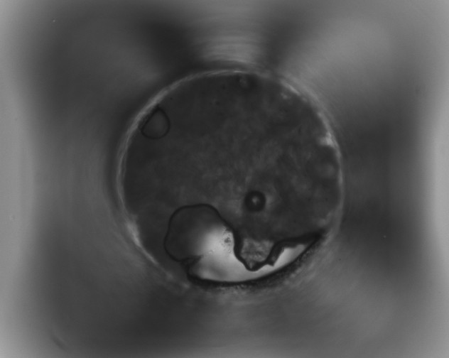 X0000092050529200709262011