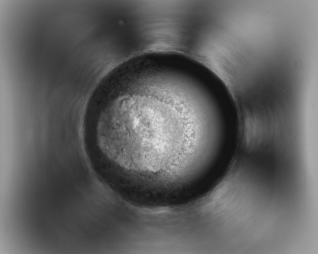 X0000092050530200709262011