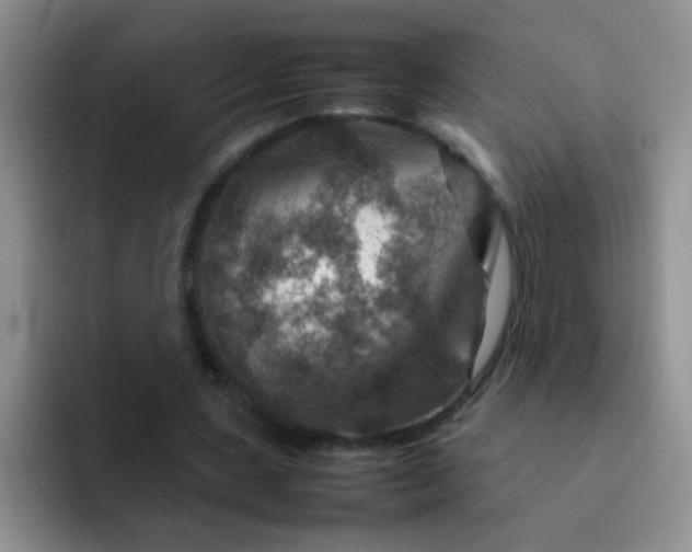 X0000092050531200709262011