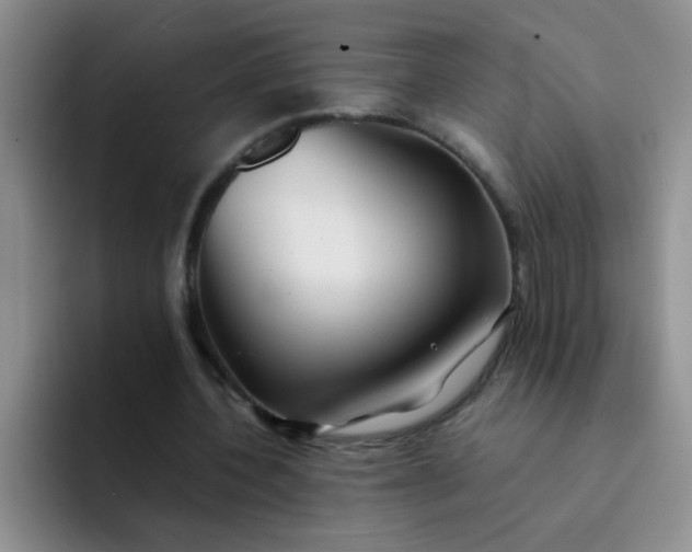 X0000092050532200709262011