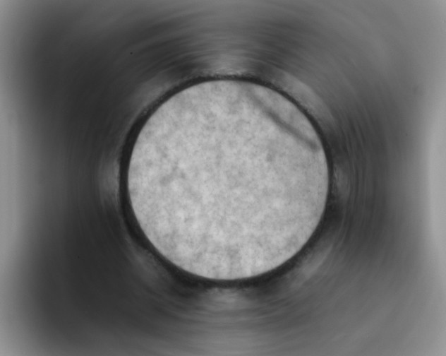 X0000092050534200709262011