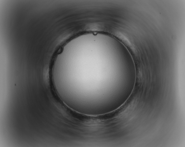 X0000092050535200709262011