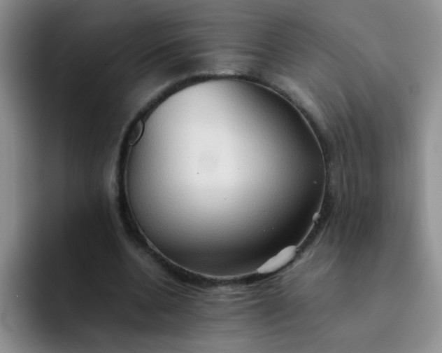 X0000092050536200709262011