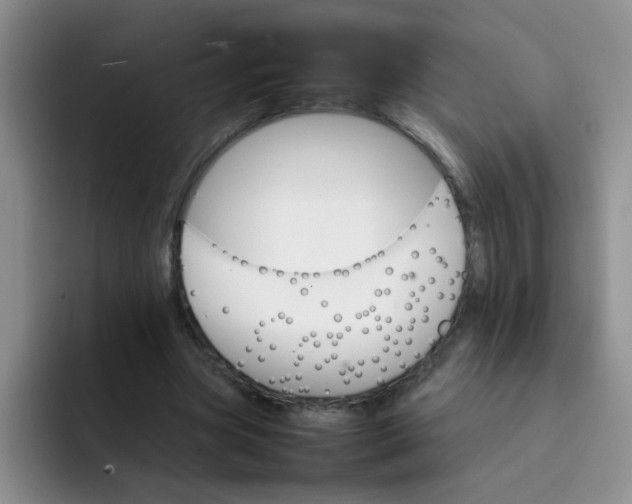 X0000092050537200709262011