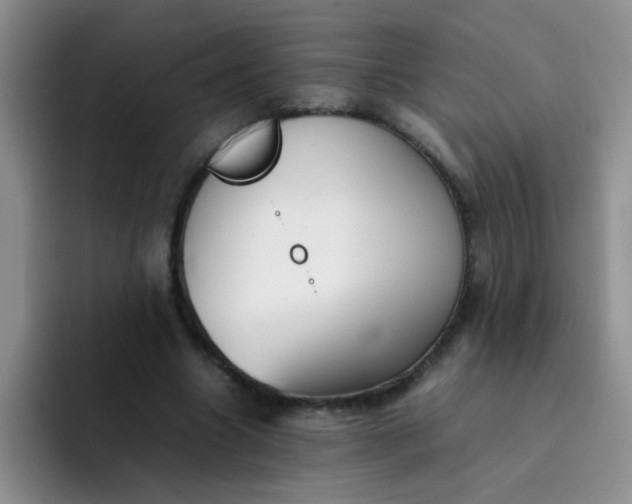 X0000092050538200709262011