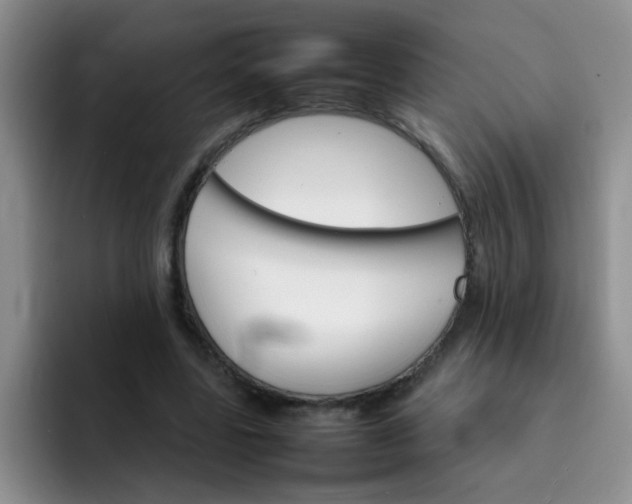 X0000092050539200709262011