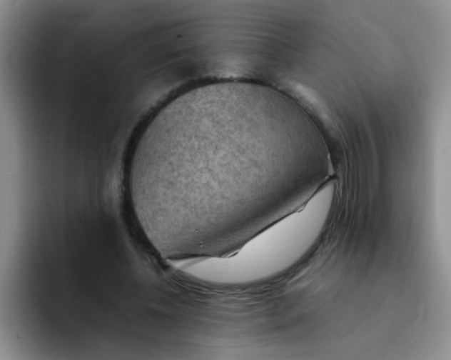 X0000092050540200709262011