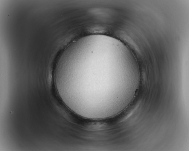 X0000092050541200709262011