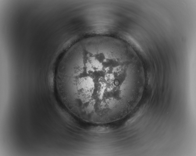 X0000092050542200709262011