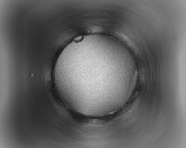 X0000092050543200709262011