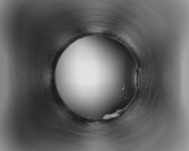 X0000092050544200709262011