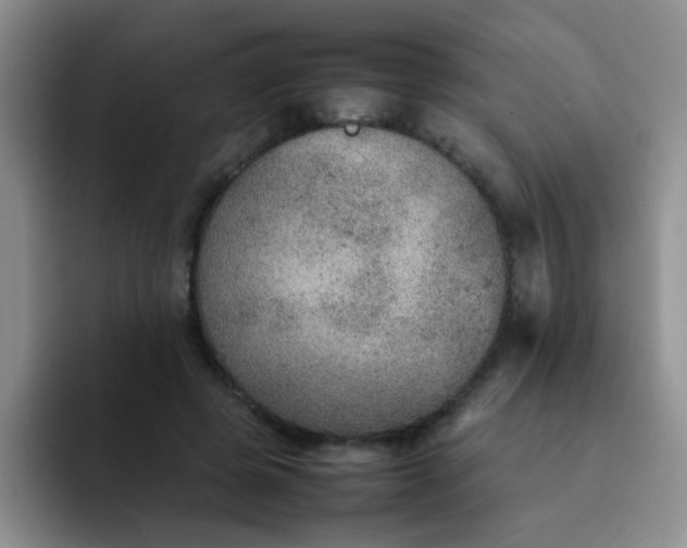 X0000092050545200709262011