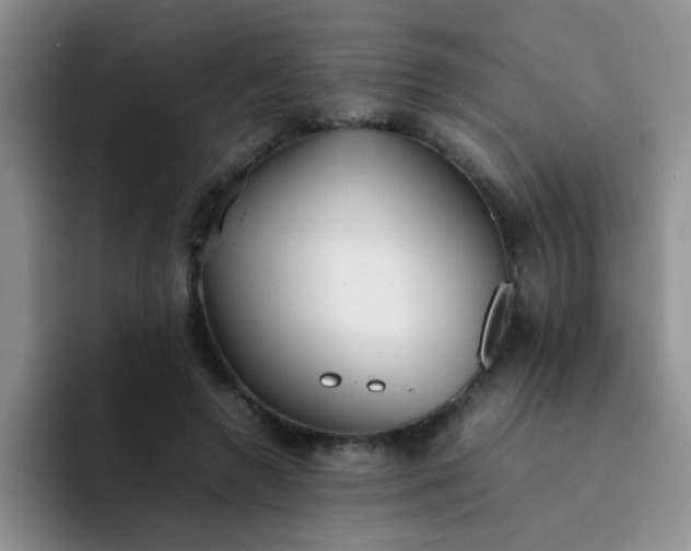 X0000092050546200709262011