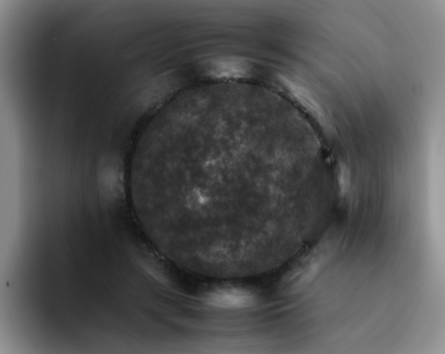 X0000092050547200709262011