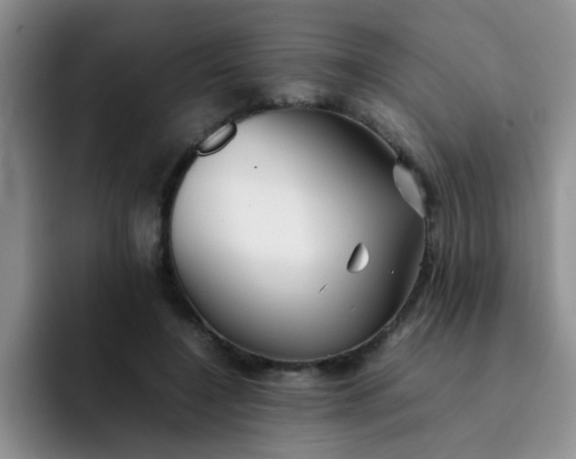 X0000092050548200709262011