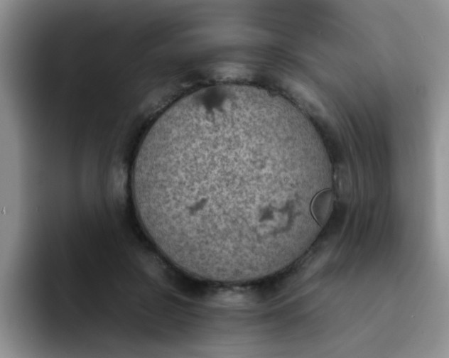 X0000092050550200709262011