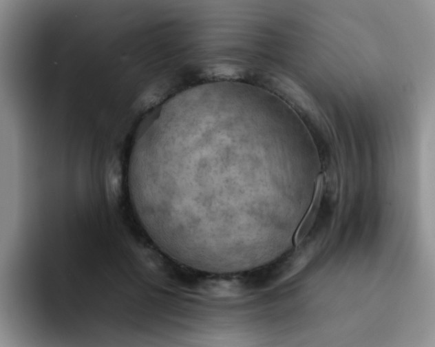 X0000092050552200709262011