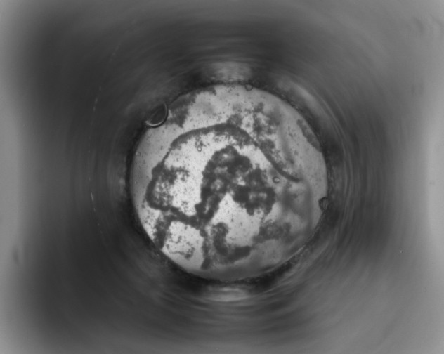 X0000092050553200709262011