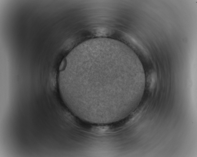 X0000092050554200709262011