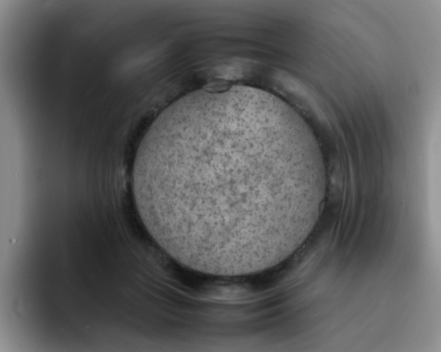 X0000092050555200709262011