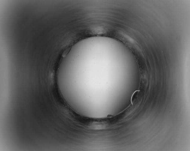 X0000092050556200709262011