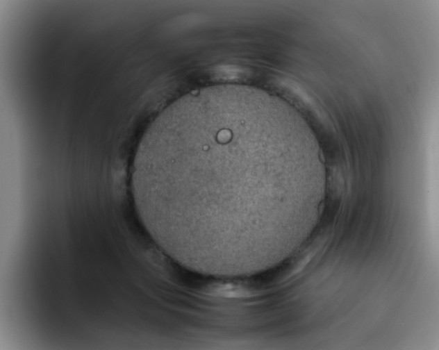 X0000092050557200709262011