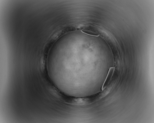 X0000092050558200709262011